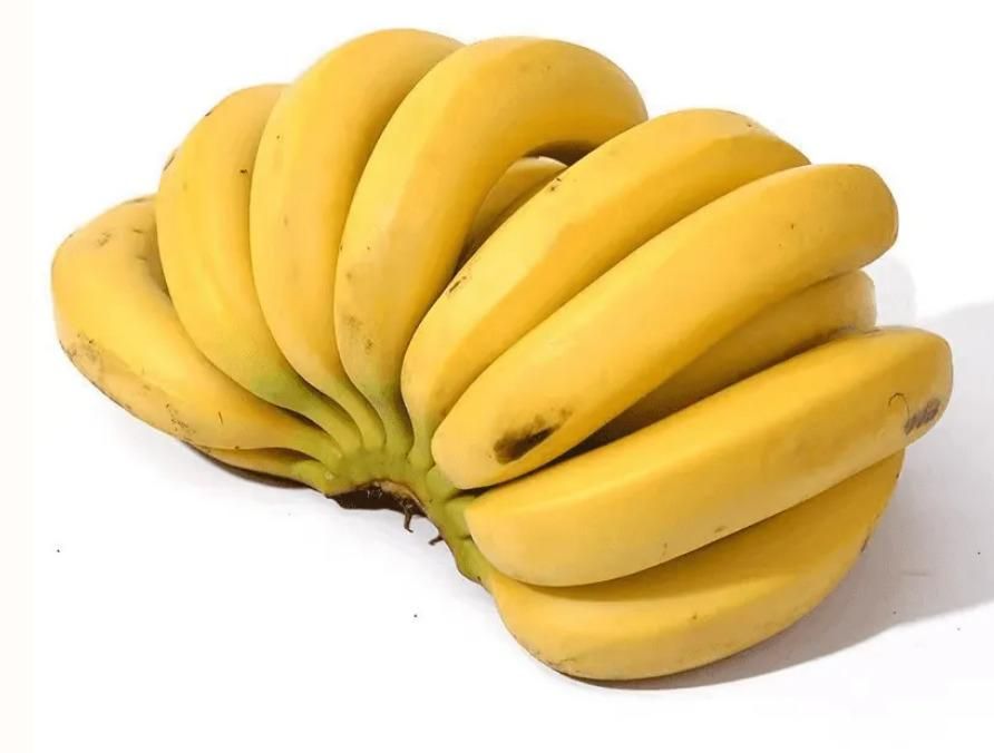 Premium Banana Seeds + FREE Plant Growth Supplement