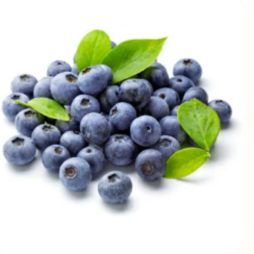 Premium Exotic Giant Blueberry Seeds – Grow Your Own Superfood!