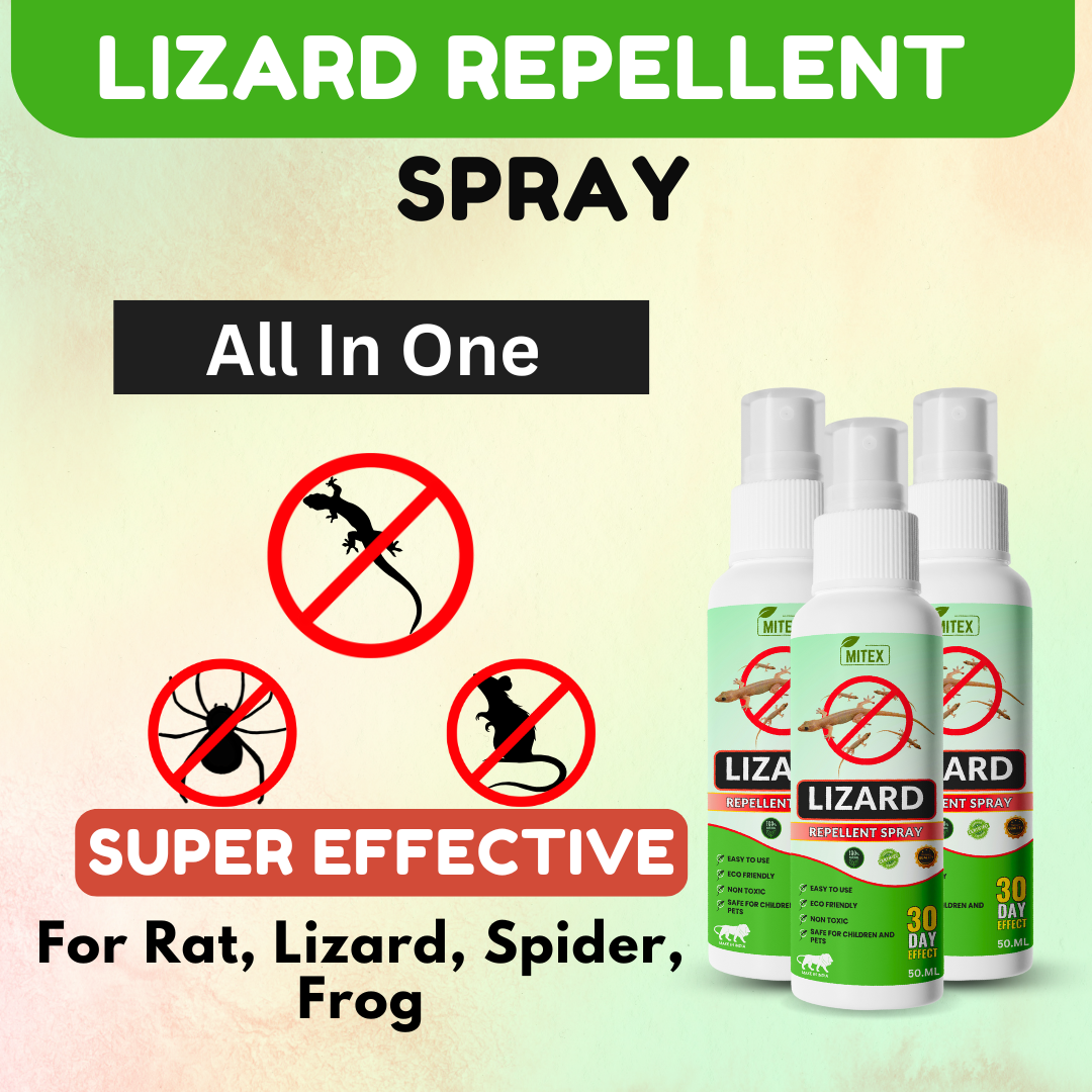 Lizard Repellent Spray - Protect your home from Pest, mite & insects | Buy 1 Get 2 FREE